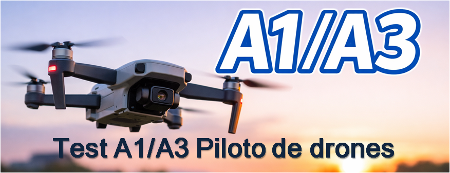 test A1/A3 piloto de drones